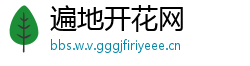 遍地开花网